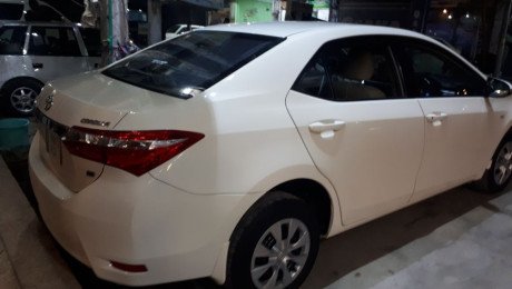 Toyota Gli 16 model white